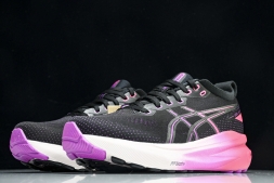 Asics Gel-kayano 31 1012B670-003
