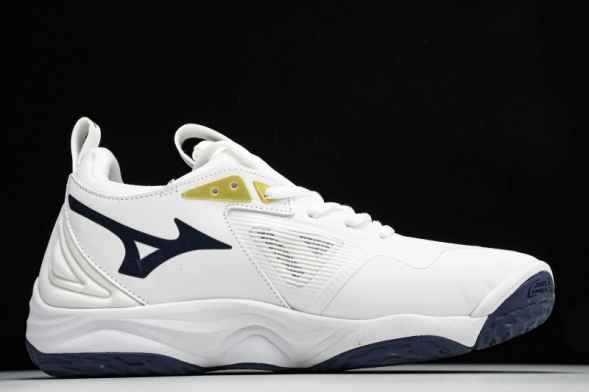 Mizuno Wave Momentum V1GB241346 