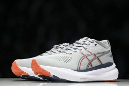 Asics Gel-kayano 31 1011B867-021