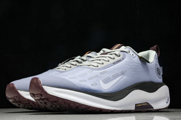 Nike ReactX Infinity RN 4 Gore-TEX HQ0265-400 