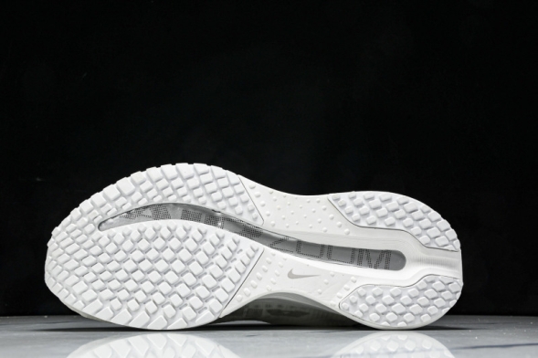 Nike Air Zoom Pegasus Premium HQ2592-102 