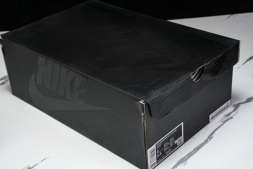 Nike ACG Mountain Fly 2 Low SP FZ3311-001