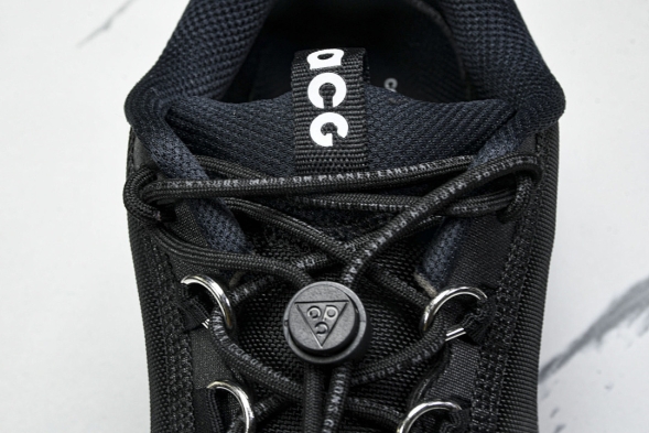 Nike ACG Mountain Fly 2 Low SP FZ3311-001 