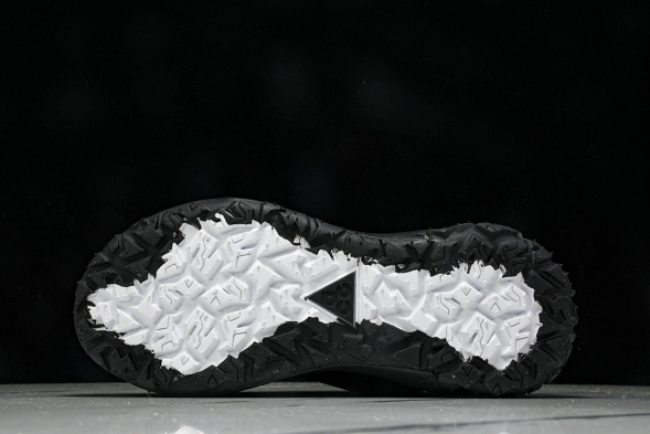 Nike ACG Mountain Fly 2 Low SP FZ3311-001 