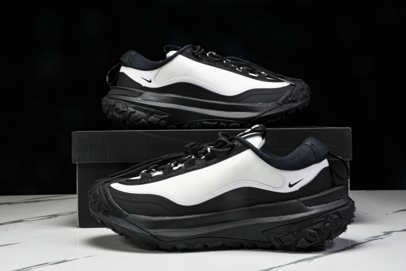 Nike ACG Mountain Fly 2 Low SP FZ3311-101 