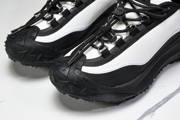 Nike ACG Mountain Fly 2 Low SP FZ3311-101 