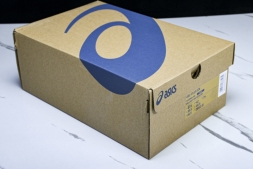 Asics Gel-Flux 4 CN 1012B464-102