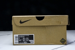 Nike ACG Mountain Fly Low GTX SE DD2861 200