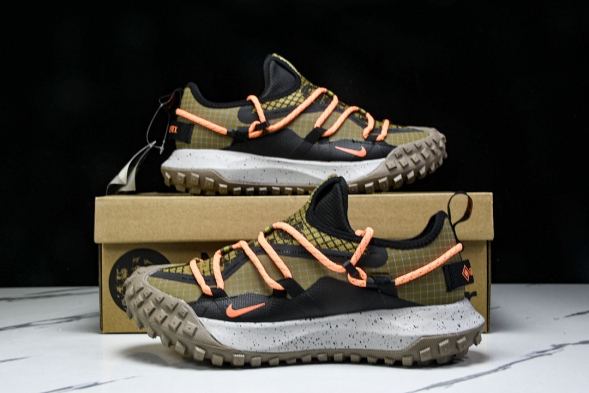 Nike ACG Mountain Fly Low GTX SE DD2861 200 