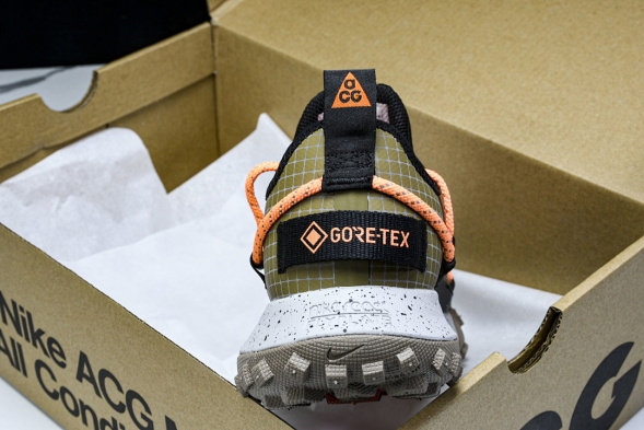 Nike ACG Mountain Fly Low GTX SE DD2861 200 