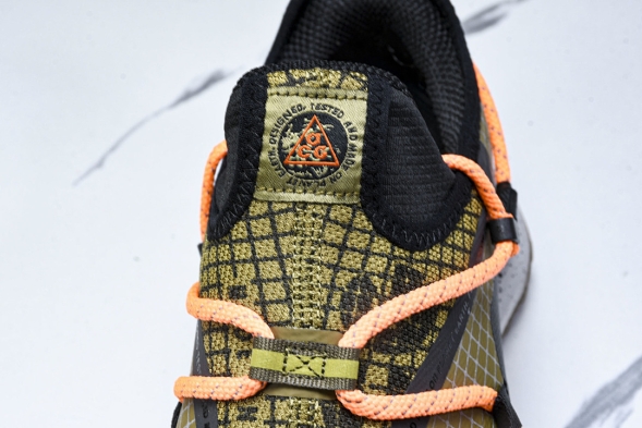 Nike ACG Mountain Fly Low GTX SE DD2861 200 