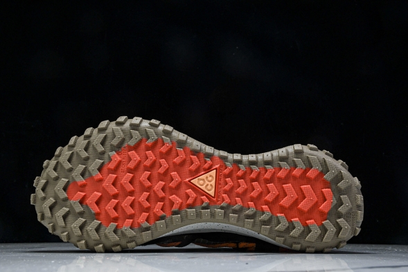 Nike ACG Mountain Fly Low GTX SE DD2861 200 