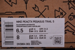 Nike Pegasus Trail 5 DV3864-001