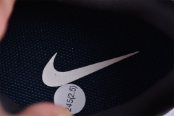 Nike Pegasus Trail 5 DV3864-001