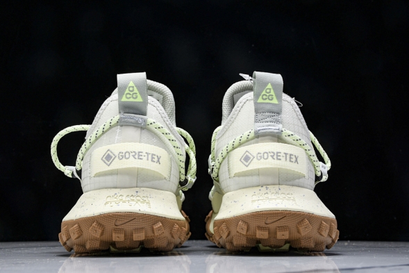 Nike ACG Mountain Fly Low GTX SE DD2861 001 