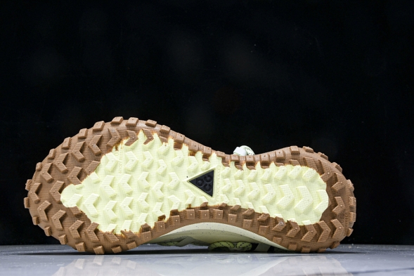 Nike ACG Mountain Fly Low GTX SE DD2861 001 