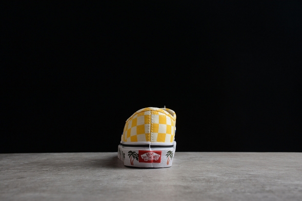 Vans Authentic VN0A348A40PP 