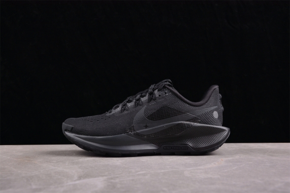 Nike Pegasus Trail 5 DV3864-002 