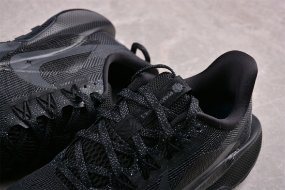 Nike Pegasus Trail 5 DV3864-002 