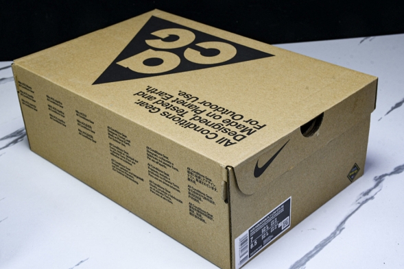 Nike ACG Mountain Fly Low GTX SE DQ1979-500 