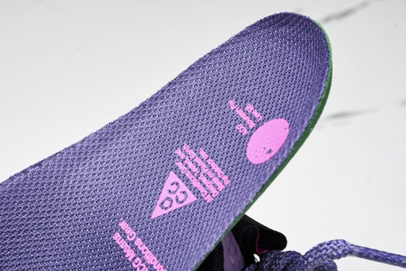 Nike ACG Mountain Fly Low GTX SE DQ1979-500 