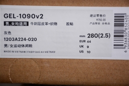 Asics Gel-1090 v2 1203A224-020