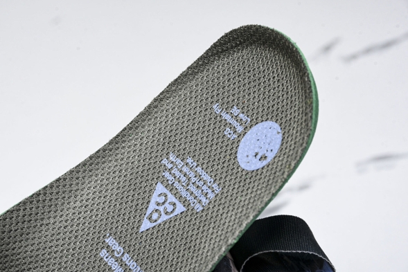 Nike ACG Mountain Fly Low GTX SE DQ1979 001 