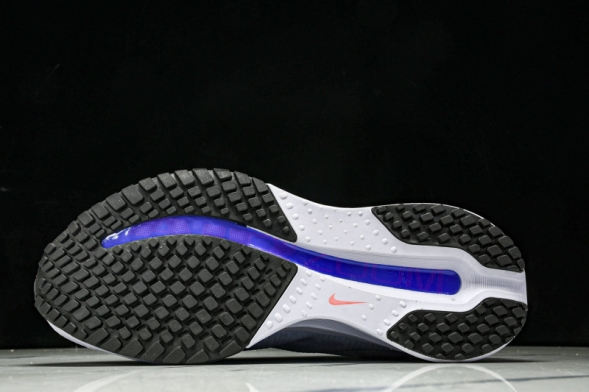 Nike Air Zoom Pegasus Premium HQ2592-004 