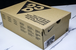 Nike ACG Mountain Fly Low GTX SE DD2861 002