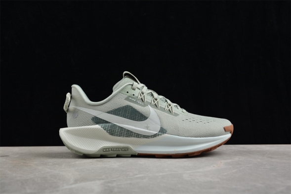 Nike Pegasus Trail 5 DV3864-304 