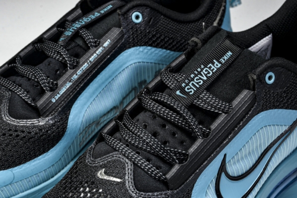 Nike Air Zoom Pegasus Premium HQ2592-006 