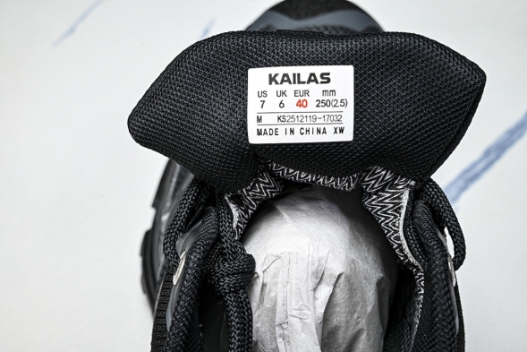 Kailas Filter-TEC KS2512119  