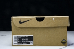 Nike ACG Mountain Fly Low GTX SE DD2861 011