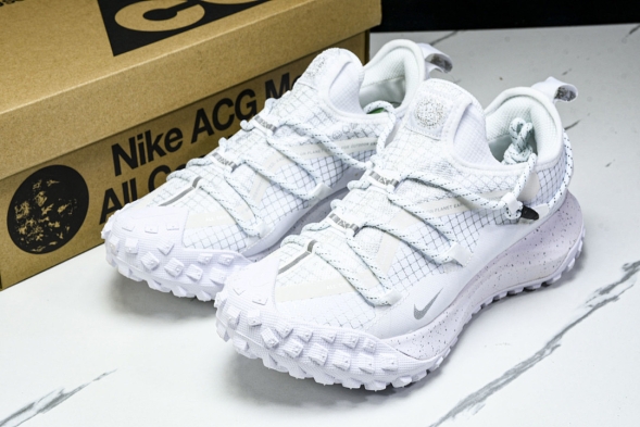 Nike ACG Mountain Fly Low GTX SE DD2861 011 