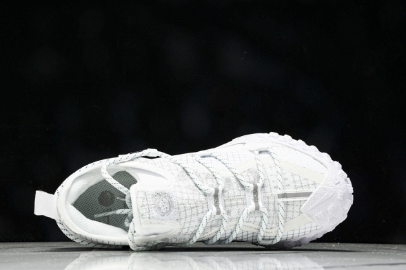 Nike ACG Mountain Fly Low GTX SE DD2861 011 