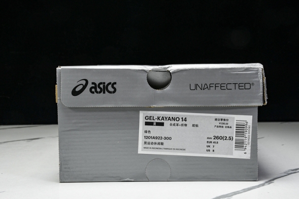 Asics Gel-Kayano 14 1201A922-300 