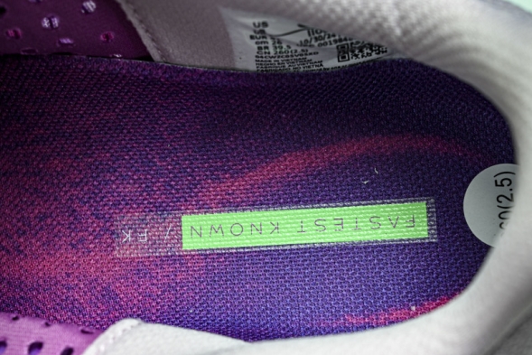 Nike Air Zoom Pegasus Premium FK II0602 500 