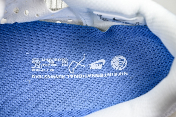 Nike Air Zoom Pegasus Premium IH7347-111 