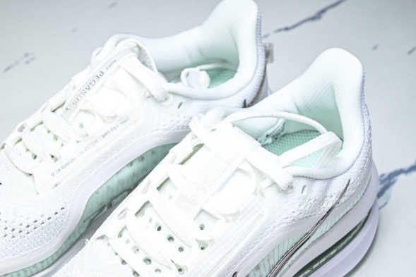 Nike Air Zoom Pegasus Premium HQ2593-103 