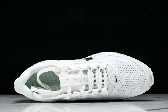 Nike Air Zoom Pegasus Premium HQ2593-103 