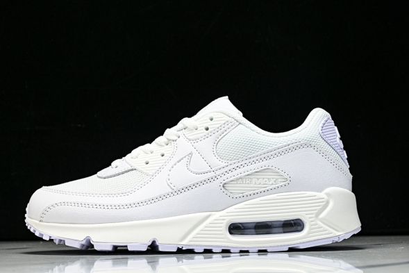 Nike Air Max 90 CN8490 100 
