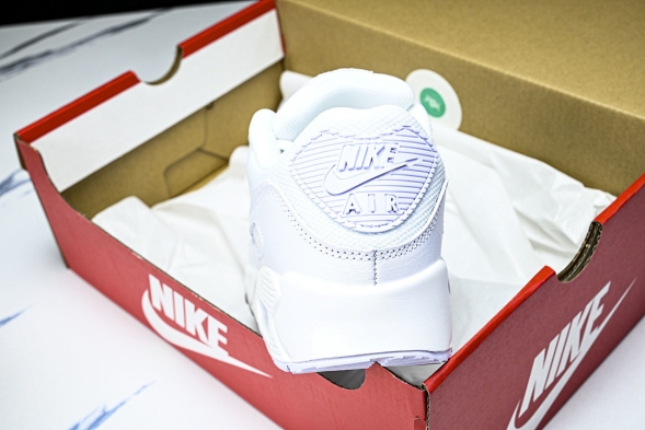 Nike Air Max 90 CN8490 100 