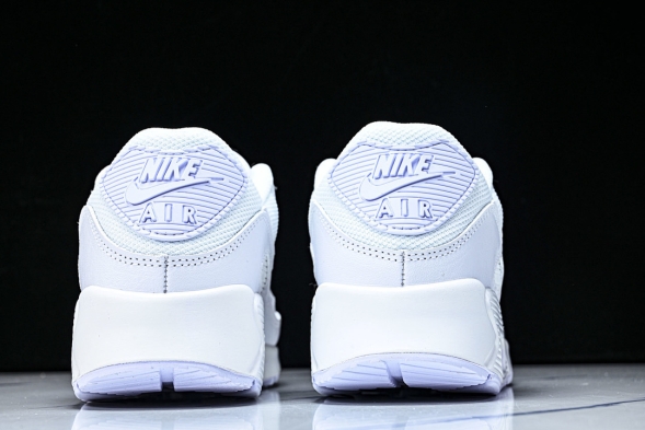 Nike Air Max 90 CN8490 100 