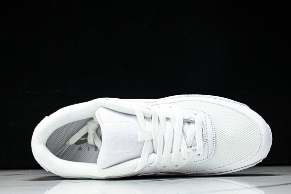 Nike Air Max 90 CN8490 100 