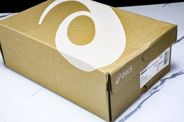 Asics Gel-NYC 1201A789-250 