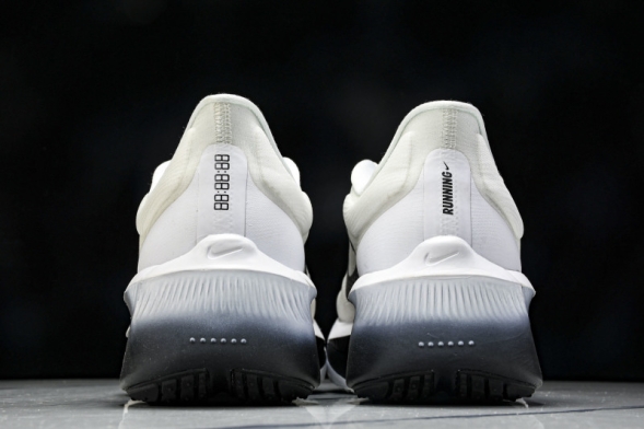 Nike Zoom Fly 6 FN8454 100 