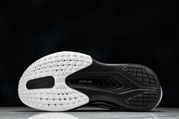 Nike Zoom Fly 6 FN8454 100 