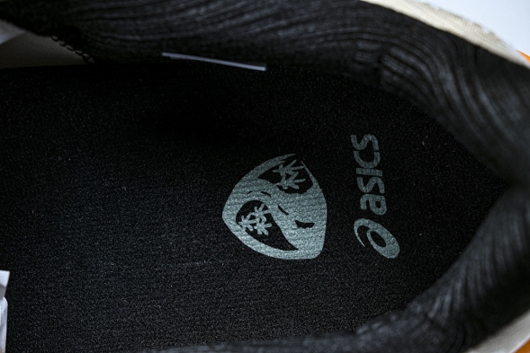 Asics Novablast 4 1011B850-250 