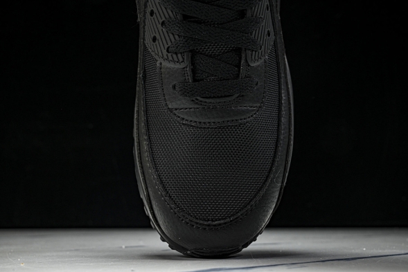 Nike Air Max 90 DZ4504 003 