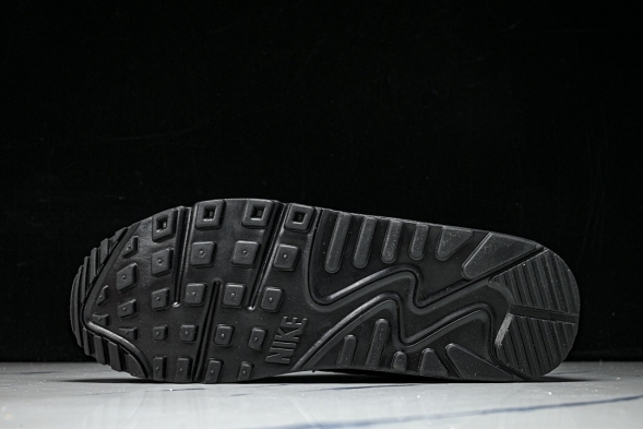 Nike Air Max 90 DZ4504 003 
